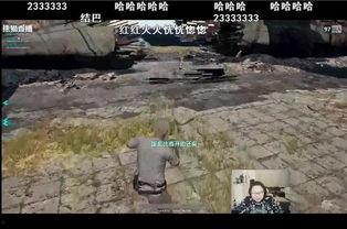 吃鸡瓜神,揭秘游戏背后的传奇故事