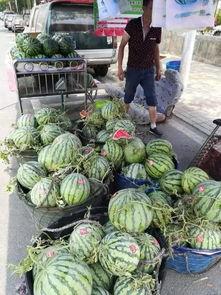 砀山吃瓜事件爆料