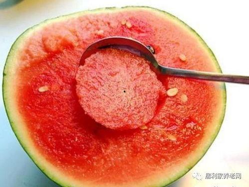 香草喵露露吃瓜,香草喵露露的瓜田奇遇记