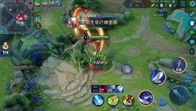 王者微信区吃瓜,吃瓜群众揭秘电竞圈幕后风云