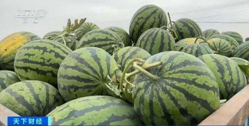 广海吃瓜,揭秘网络热点的背后故事