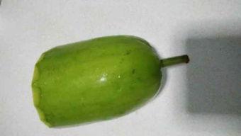 浦瓜怎么吃?,探索美味与营养的完美结合