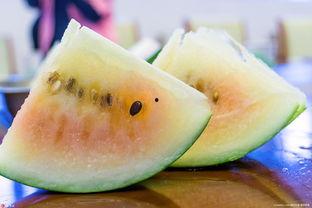 吃雪糕的瓜,揭秘雪糕界的甜蜜传奇