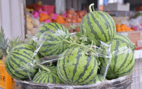 保持吃瓜状态,揭秘娱乐圈的吃瓜日常