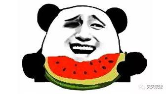 保持吃瓜状态,揭秘娱乐圈的吃瓜日常