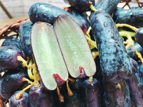 保持吃瓜状态,揭秘娱乐圈的吃瓜日常