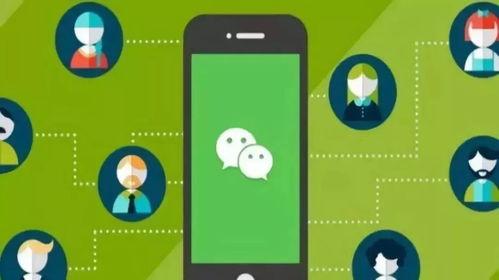 小程序白夜吃瓜,揭秘网络热点的背后故事