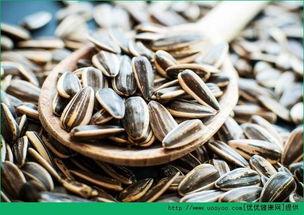 吃瓜甩瓜子,一场别开生面的吃瓜甩瓜子盛宴