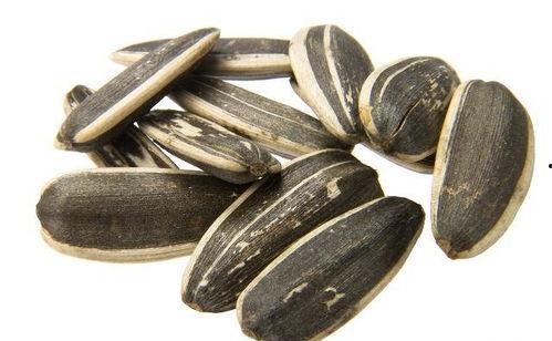 吃瓜甩瓜子,一场别开生面的吃瓜甩瓜子盛宴