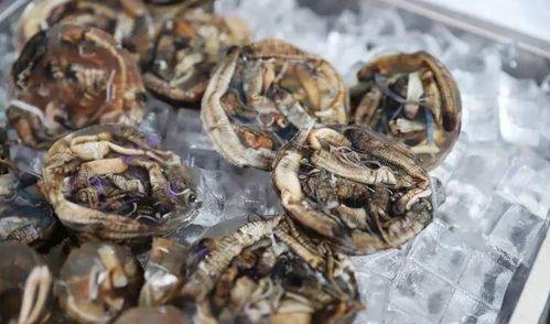 虎扑吃瓜避雷,避雷攻略，轻松应对网络热议