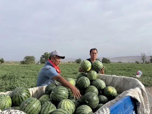 老金吃瓜暗道,揭秘娱乐圈背后的秘密世界