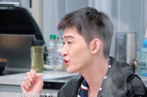 吃瓜星球张翰,吃瓜星球上的娱乐风云人物