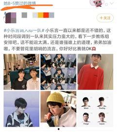 乐言吃瓜小说,揭秘娱乐圈的甜蜜与苦涩