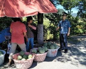 东平吃瓜群众,揭秘当地热点事件背后的故事
