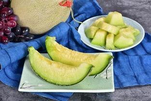 吃极品蜜瓜,探寻极品蜜瓜的独特魅力