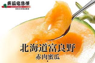 吃极品蜜瓜,探寻极品蜜瓜的独特魅力