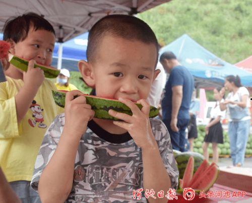 上朝吃瓜37,揭秘37号瓜背后的宫廷秘闻