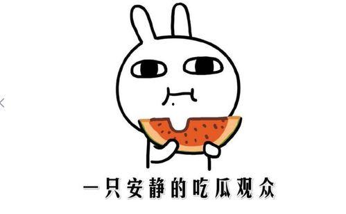 吃瓜学渣人物介绍,揭秘校园里的“瓜田”奇闻轶事