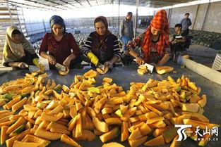 伽师瓜干怎么吃