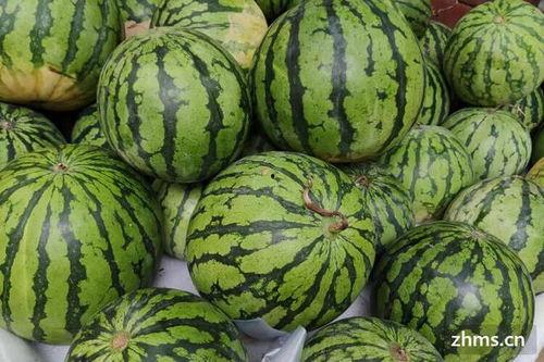 黑美人吃麒麟瓜