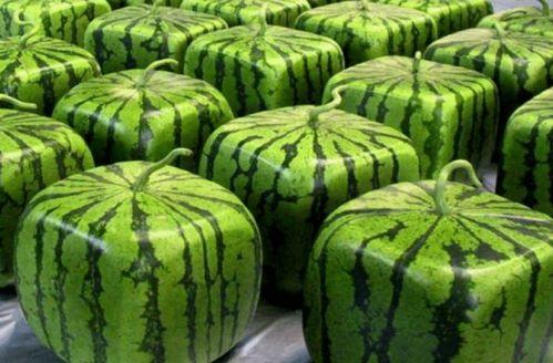 一卡吃瓜,揭秘娱乐圈背后的秘密与八卦