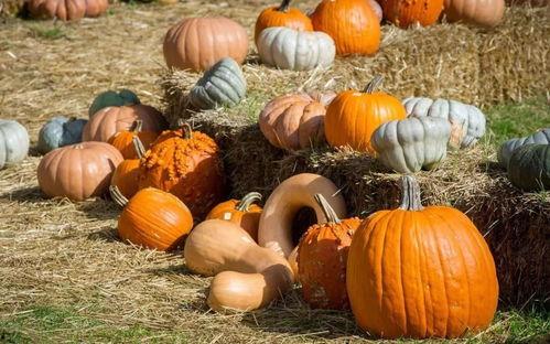 一卡吃瓜,揭秘娱乐圈背后的秘密与八卦