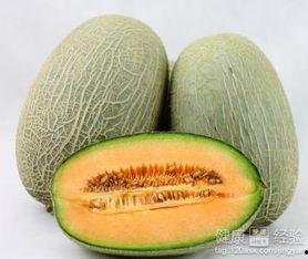 淑贤吃哈密瓜,淑贤的哈密瓜美食之旅