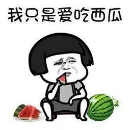 吃瓜吃这么多,揭秘吃瓜群众的狂欢世界