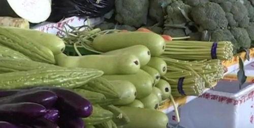 吃瓜拉瓜种子,揭秘吃瓜拉瓜种子的神奇之旅