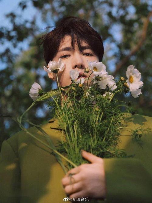 岁岁吃瓜,揭秘娱乐圈那些不为人知的幕后故事