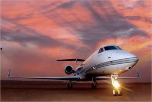 吃瓜大佬小飞机,瓜界风云录