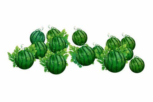 阿度吃瓜,揭秘娱乐圈幕后故事