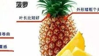 菠萝吃瓜群众