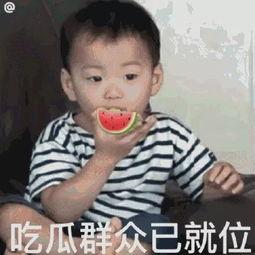 小米手机吃瓜表情,解锁社交新姿势