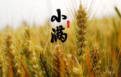 小满吃瓜,瓜果飘香，尽享田园美味