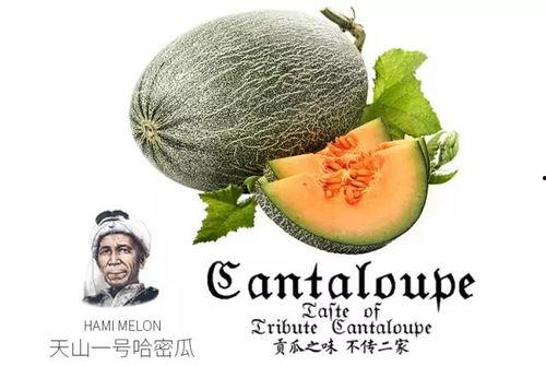 吃瓜23号,一场网络热点的背后故事