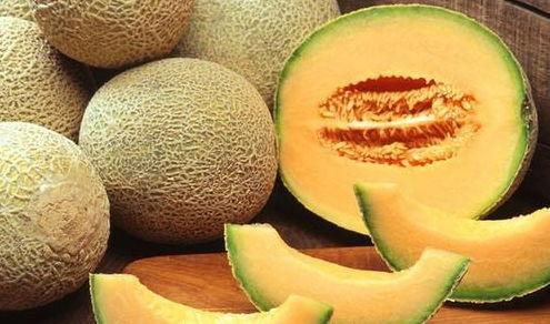 可以吃哈密瓜,哈密瓜的甜蜜诱惑