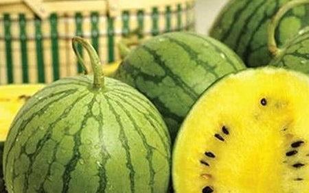 以前吃瓜和最近吃瓜的区别,吃瓜文化的演变与变迁