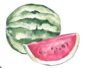 以前吃瓜和最近吃瓜的区别,吃瓜文化的演变与变迁