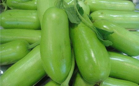 吃蒲瓜的含意,品味生活之甘甜