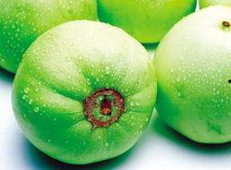 宁夏长城集团吃瓜