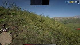 吃瓜卡bug,一场意外的游戏狂欢