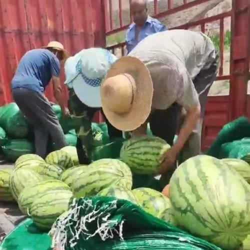 围观群众 除了吃瓜,吃瓜之余，探寻社会现象背后的真相