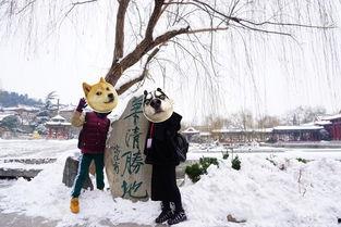 初雪吖111吃瓜,揭秘吃瓜背后的娱乐风云