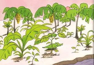 苏木吃瓜的故事简介,一场穿越时空的奇幻冒险之旅