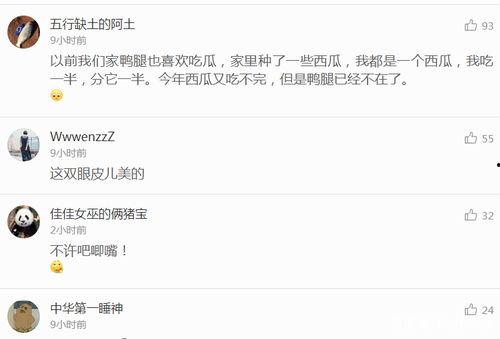 语音听吃瓜圈,网络舆论场中的热点追踪与娱乐狂欢