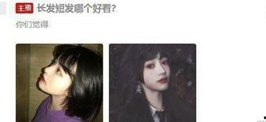 吃瓜系统白晓,白晓如何引领网络热议新潮流