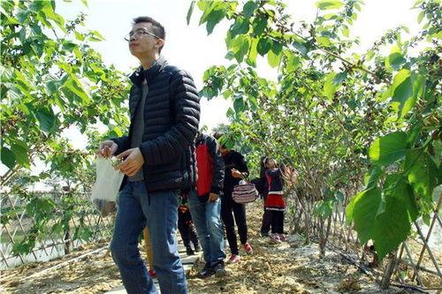 林木妹妹吃瓜系统  第2张