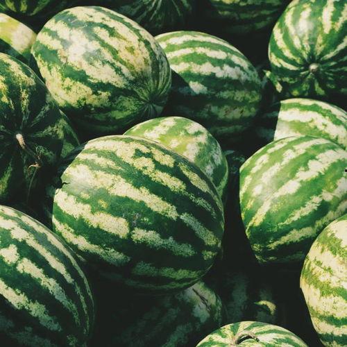 吃瓜人的生活,揭秘网络时代下的围观文化现象