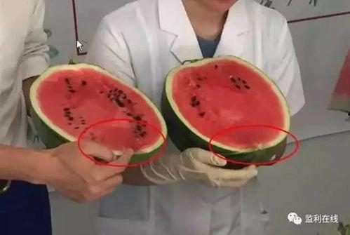 吃瓜不吐皮直播,直播界的趣味盛宴